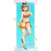 Atelier Ryza: Ever Darkness & the Secret Hideout Extra Large Tapestry (Re-run) Clearance
