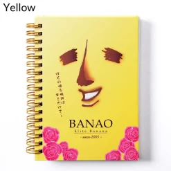 Banao A6 Double Ring Notebook Online