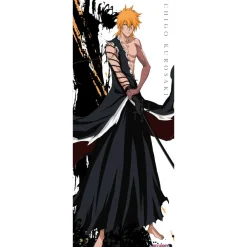 Posters>Bleach My Sword My Soul Life-Size Fabric Poster Collection