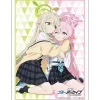 Bushiroad Sleeve Collection High-Grade Vol. 4912 Blue Archive The Animation Hoshino Takanashi & Nonomi Izayoi Best