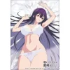 Bushiroad Sleeve Collection High-Grade Vol. 4837 Please Put Them On, Takamine-san Takane Takamine: Lingerie Ver. Best
