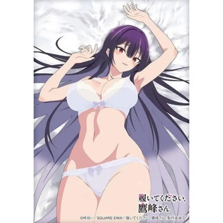 Bushiroad Sleeve Collection High-Grade Vol. 4837 Please Put Them On, Takamine-san Takane Takamine: Lingerie Ver. Best