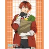 Bushiroad Sleeve Collection High-Grade Vol. 4341 Frieren: Beyond Journey's End Stark Part 2 Hot