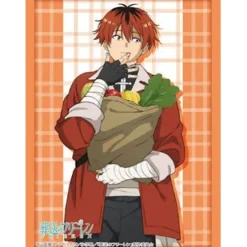 Bushiroad Sleeve Collection High-Grade Vol. 4341 Frieren: Beyond Journey's End Stark Part 2 Hot