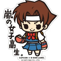Stickers>Capcom x B-Side Label Rival Schools Stickers