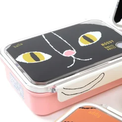Cat Square Lunch Boxes Outlet