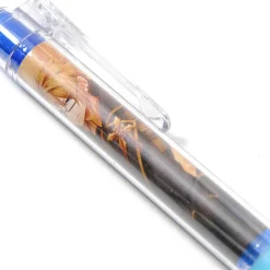Code:Realize ~The Princess of Creation~ Mechanical Pencils Online