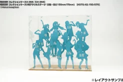 Collection Case X Acrylic Stage (2 Step Height 60mm/30mm) Clearance