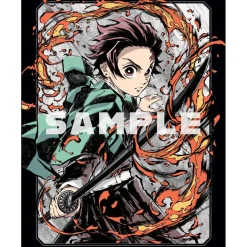 Demon Slayer: Kimetsu no Yaiba Limited Edition Blu-ray Vol. 2 Clearance