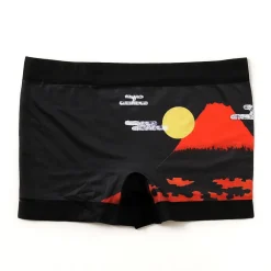 Design Mania Museum Mt. Fuji Boxers New