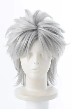 Cosplay Outfits>Fate/Apocrypha Shirou Kotomine Cosplay Wig