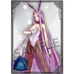 Fate/Extella A3 Clear Poster Collection New