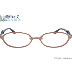 Fate/Extella Link Robin Hood Model Collaboration Glasses (Clear Lenses) New
