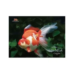 Calendars>Gold Fish 2018 Calendar