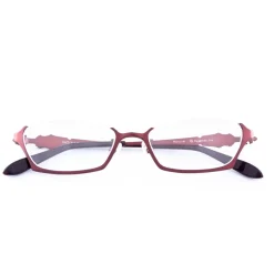 Eyewear><noscript><img width=