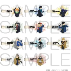 Haikyu!! Hair Clip Playing in the Snow Ver. New