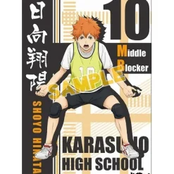 Posters>Haikyu!! Karasuno High vs Shiratorizawa Academy Mini Clear Poster Collection Box Set