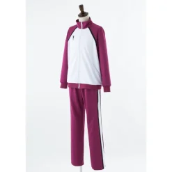 Cosplay Outfits>Haikyu!! Shiratorizawa Academy Jersey