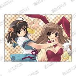 Haruhi Suzumiya Series A5 Acrylic Panel Haruhi & Mikuru Discount