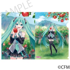 Other Stationery>Hatsune Miku x Hirosaki Apple Clear File Folder Art by Asagao Minoru