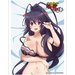 Cards>High School DxD Hero Sleeve Akeno Himejima