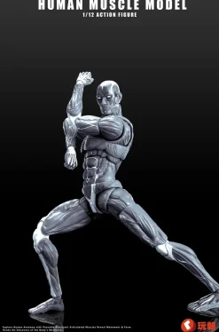 Human Muscle Model (Gray) 1/12 Scale Action Figure Outlet