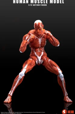 Action Figures>Human Muscle Model (Red) 1/12 Scale Action Figure
