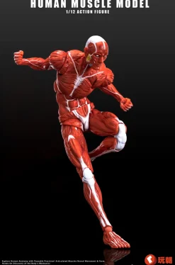 Action Figures><noscript><img width=