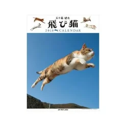 Jump Cat 2018 Calendar Hot