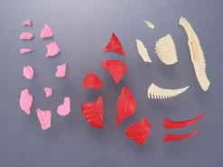 Kaitai Puzzle Fantasy Gomora w/ Bonus Parts Hot