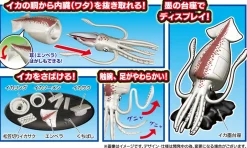 Kaitai Puzzle Squid Puzzle Clearance