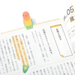 Koko Sasu Parrots Discount