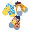 KOTORITACHI Cockatiel Printed Socks (Mosaic Pattern) Clearance