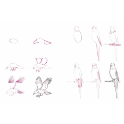 Learn How to Draw Fast Step by Step! How to Draw 100 Animals Discount