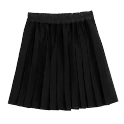 LISTEN FLAVOR Tulle Layered Pleated Skirt Outlet