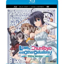 Love Chunibyo & Other Delusions! Rikka Version Blu-ray/DVD Combo Pack Best