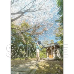 Love Live! Sunshine!! Aqours Clear File Folder
