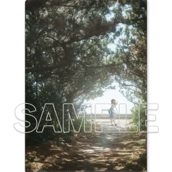Love Live! Sunshine!! Clear File Folder Aqours Best