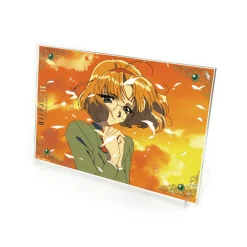 Magic Knight Rayearth Acrylic Art Stand Fuu Hououji Hot