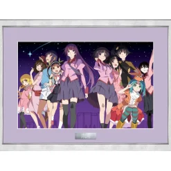 Monogatari Series Final Season Bonus Illustration Character Fine Graph Discount