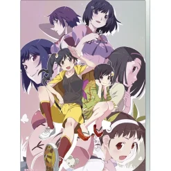 Acrylic Art Boards>Monogatari Series Noble Art Nisemonogatari