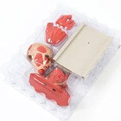Monthly Attack on Titan Official Figure Collection Magazine Vol. 12 w/ Colossal Titan New