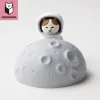 Smartphone Accessories>NEKONOBA Nyasa Smartphone Stand
