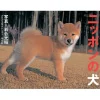 Calendars>Nippon no Inu 2023 Calendar