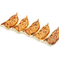 Plastic Model: Gyoza Best
