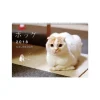 Calendars>Pokke 2018 Calendar