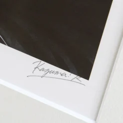 Fine Art><noscript><img width=