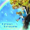 Anime Music>Reflectier | TV Anime True Tears Opening Theme Song CD (First Limited Edition / LP-size Jacket Ver.)