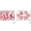 Other Stationery>Sakura Miku x Hirohako 2024 Clear File Folder Hirohako