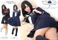 Cosplay Outfits>School Uniform Collection SailorColle Winter Wear House Dresses